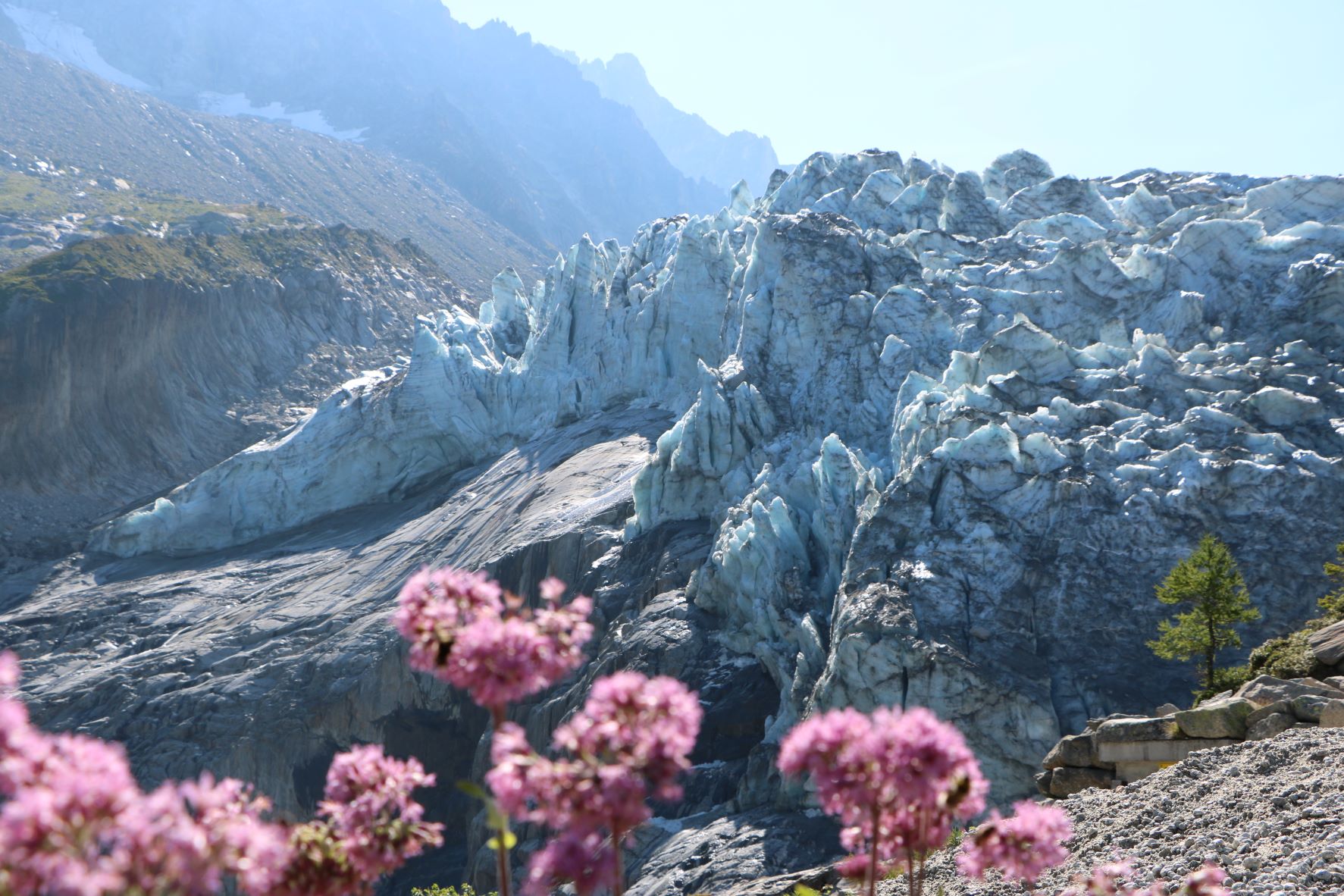 Point de Vue, glaicer d'Argentière