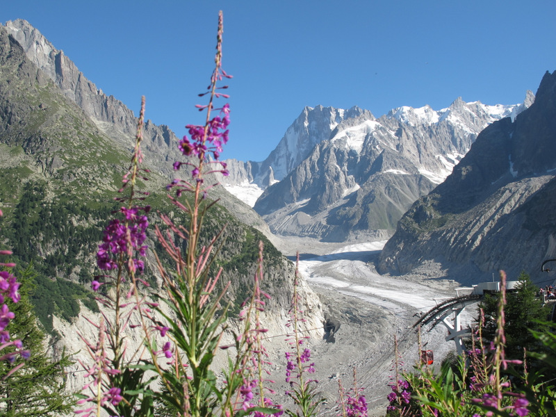 Vue Mer de Glace