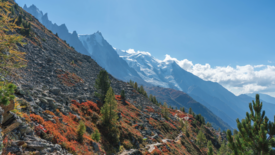 vue montagne en automne 