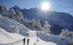 le tour argentiere