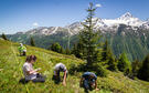 CREA Mont-Blanc - la science participative