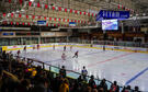 Match de hockey sur glace vu depuis les gradins d'une patinoire olympique